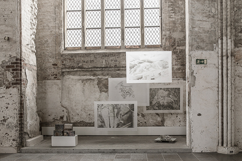 „Knochenarbeit aus dem wilden Garten“ innerhalb der 33. Landesweiten Kunstschau des Künstlerbundes Mecklenburg und Vorpommern „Betwixt and Between“, 2023, Installationsansicht; Fotografie als Pigmentdruck auf Seidenvlies, Spiegel auf Kalksandstein, Teile eines Rentierschädels, Schafswirbel, Anhaftungen von Erde und Moos, Draht, Pigmente, Wirbel von Geflügel und Kaninchen, alter Zwirn, Kulturkirche St. Jakobi in Stralsund