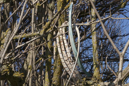 Installationsansicht „Karfreitag“, 2012, Ahrenshoop am Hohen Ufer, Rippen und Röhrenknochen von Ziege und Schaf, Draht, Graphitstift, Pigmente, Baumwollzwirn, Holunderbüsche